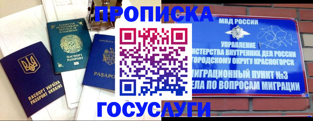 купить прописку в Борзе